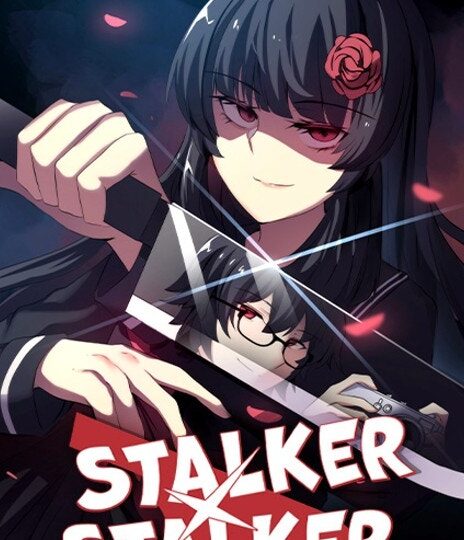 Stalker X Stalker Cover Image